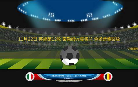 11月22日 英超第12轮 富勒姆vs桑德兰 全场录像回放