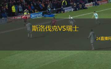 斯洛伐克VS瑞士
