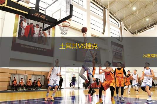 土耳其VS捷克