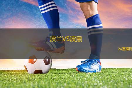 波兰VS波黑