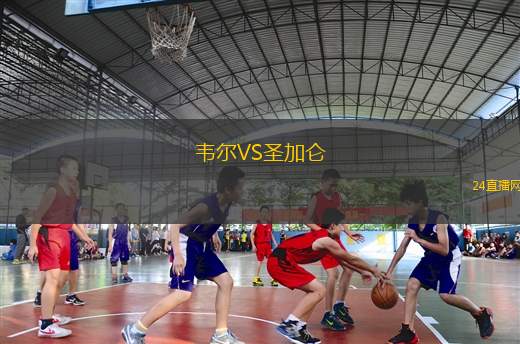 韦尔VS圣加仑