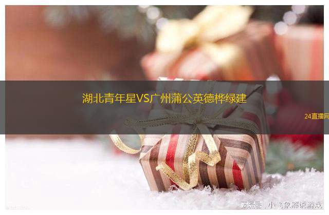 湖北青年星VS广州蒲公英德桦绿建
