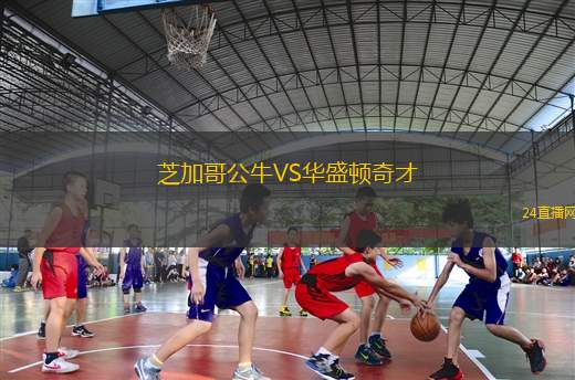 芝加哥公牛VS华盛顿奇才