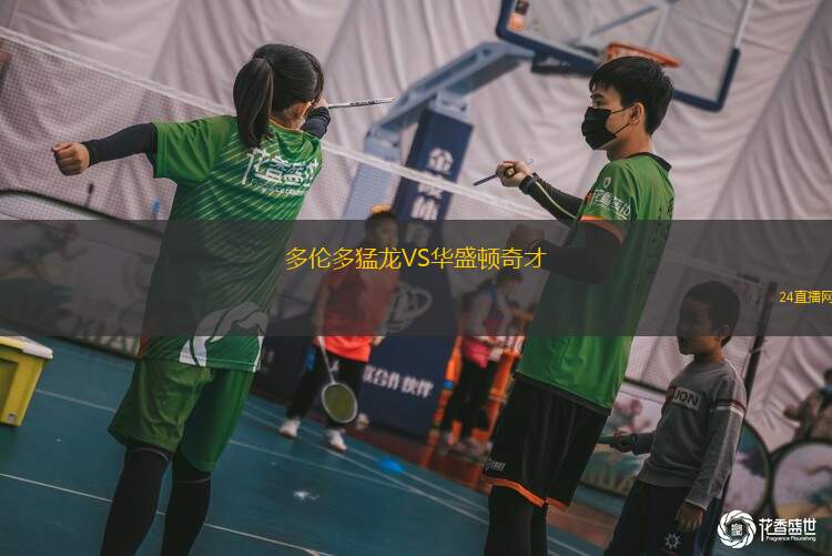 多伦多猛龙VS华盛顿奇才
