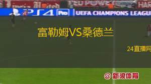 富勒姆VS桑德兰