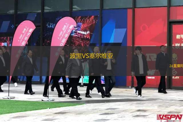 波黑VS塞尔维亚