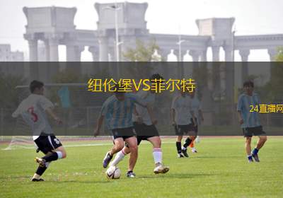 纽伦堡VS菲尔特