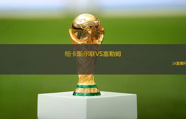 纽卡斯尔联VS富勒姆