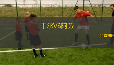 韦尔VS阿劳
