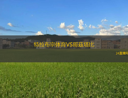 特拉布宗体育VS哥茲塔比