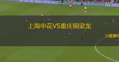 上海申花VS重庆铜梁龙