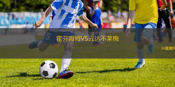 霍芬海姆VS云达不莱梅