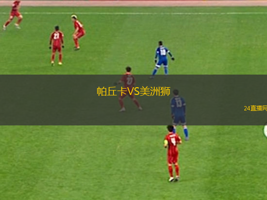 帕丘卡VS美洲狮