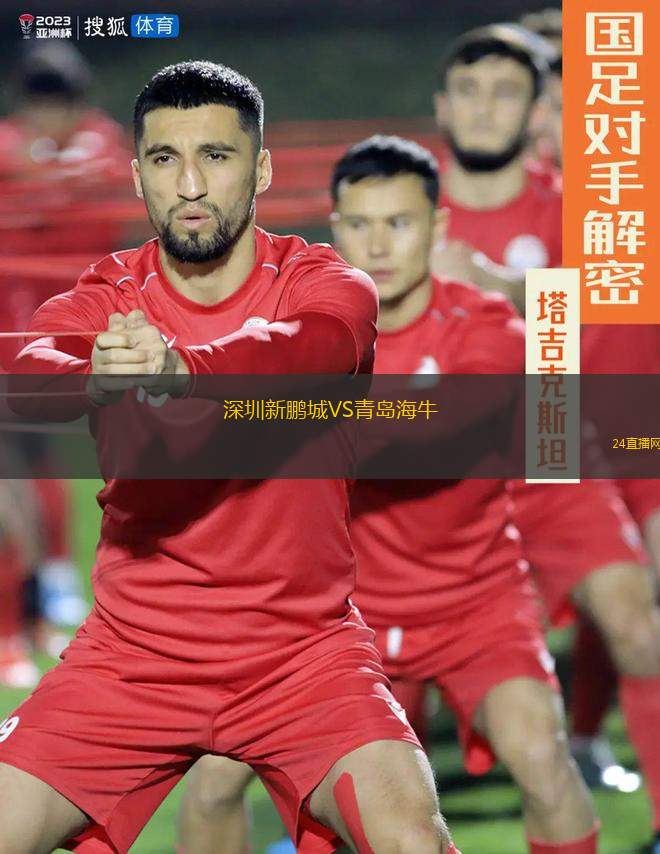 深圳新鹏城VS青岛海牛