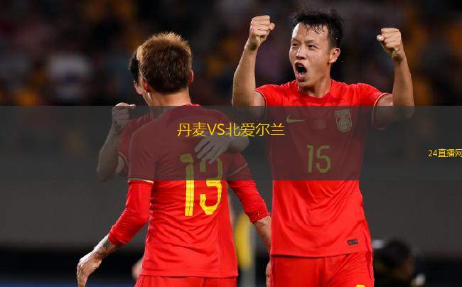 丹麦VS北爱尔兰